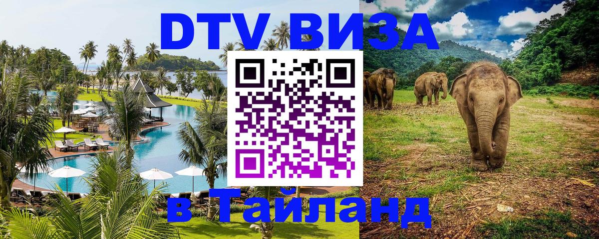 Сколько стоит DTV виза — актуальные цены, оформление даже без документов - Коломна  19.11.2025 